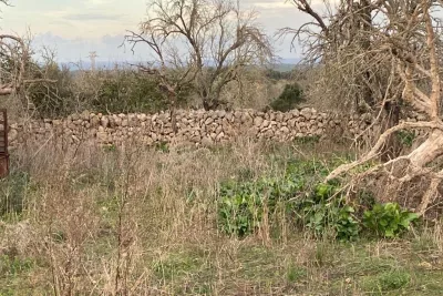 Venta Terrenos Santa Margarita