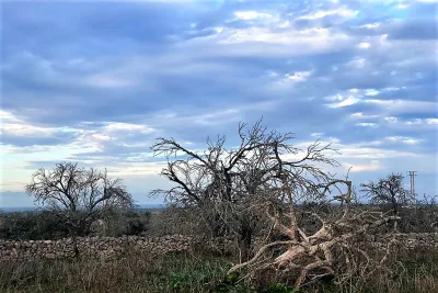 Venta Terrenos Santa Margarita