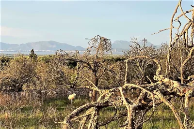 Venta Terrenos Santa Margarita