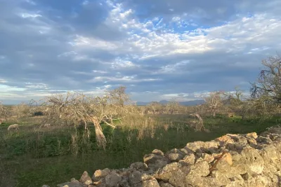 Venta Terrenos Santa Margarita