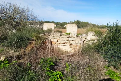 Venta Terrenos Santa Margarita