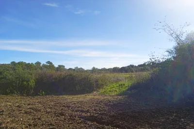 Venta Terrenos Santa Margarita