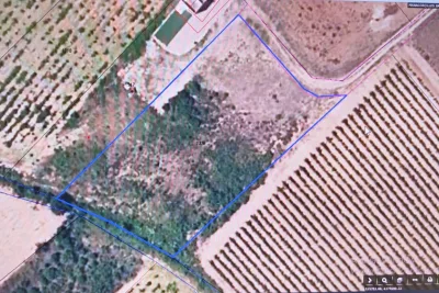 Venta Terrenos Manacor