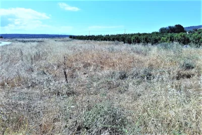 Venta Terrenos Manacor