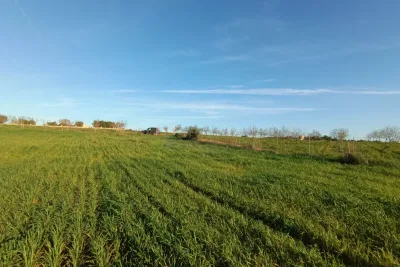 Venta Terrenos Manacor