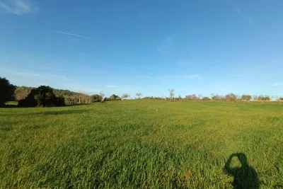 Venta Terrenos Manacor