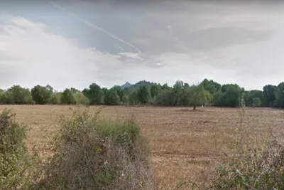 Venta Terrenos Felanitx