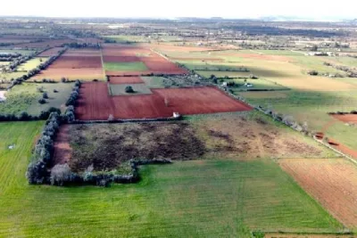 Venta Terrenos Felanitx