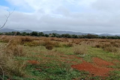 Venta Terrenos Felanitx