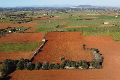 Venta Terrenos Felanitx