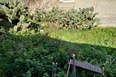 Venta Solar urbano Manacor