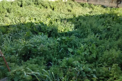 Venta Solar urbano Manacor