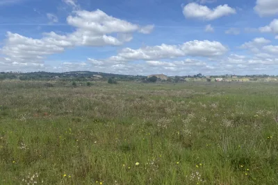 Venta Terrenos Porto Cristo