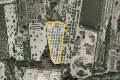 Venta Terrenos San Juan