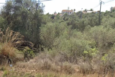 Venta Solar urbano Cala Murada