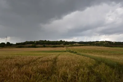 Venta Fincas Manacor