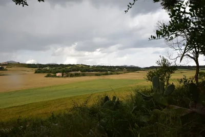 Venta Fincas Manacor