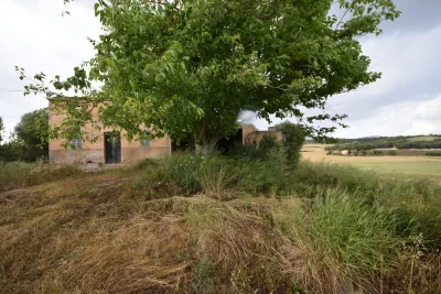 Venta Fincas Manacor