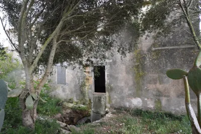 Venta Fincas Manacor