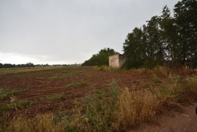 Venta Fincas Manacor