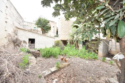 Venta Solar urbano Manacor