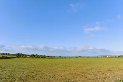 Venta Terrenos Manacor