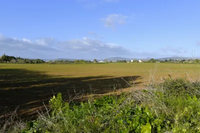 Venta Terrenos Manacor