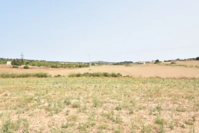 Venta Terrenos Manacor