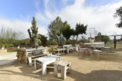 Venta Fincas Manacor