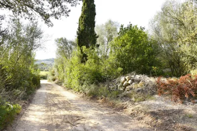 Venta Fincas Son Macia