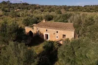 Venta Fincas Manacor