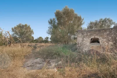 Venta Fincas Manacor