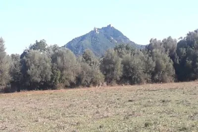 Sale Land Felanitx