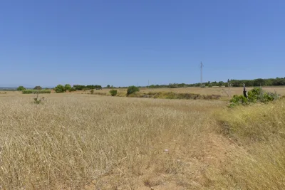 Venta Terrenos Manacor