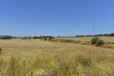 Venta Terrenos Manacor