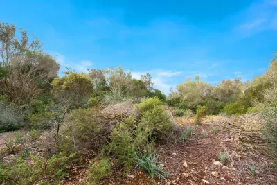 Venta Fincas Cala Millor