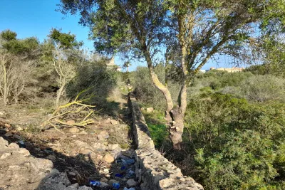 Venta Solar urbano Llucmajor