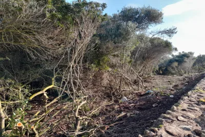 Venta Solar urbano Llucmajor