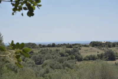 Venta Terrenos Manacor