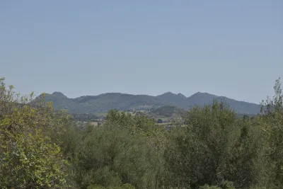 Venta Terrenos Manacor