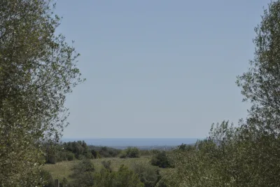 Venta Terrenos Manacor