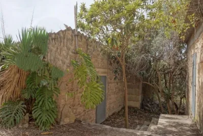 Venta Casas Son Macia