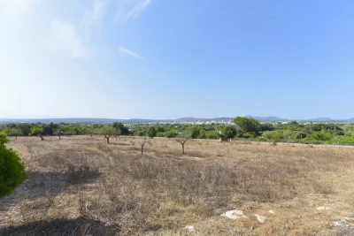 Venta Terrenos Manacor