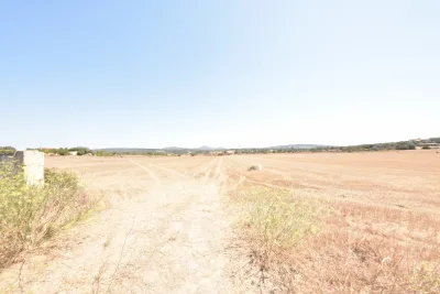 Venta Terrenos Manacor