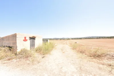 Venta Terrenos Manacor