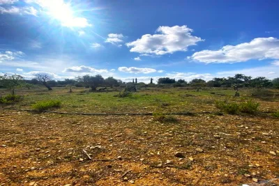 Venta Terrenos Vilafranca de Bonany