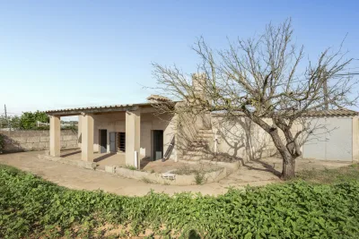 Venta Fincas Manacor