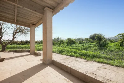 Venta Fincas Manacor