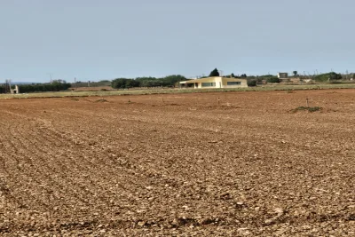 Venta Terrenos Llubi