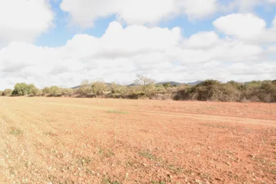 Venta Fincas Santanyi